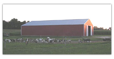 Hay Barn