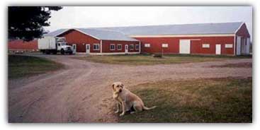 Dairy barn and Tripper the dog
